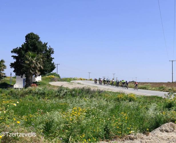 58372877_1126808564164979_4248338090197778432_n