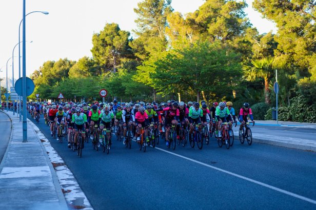 59611887_2240475146213391_4375125627854913536_o