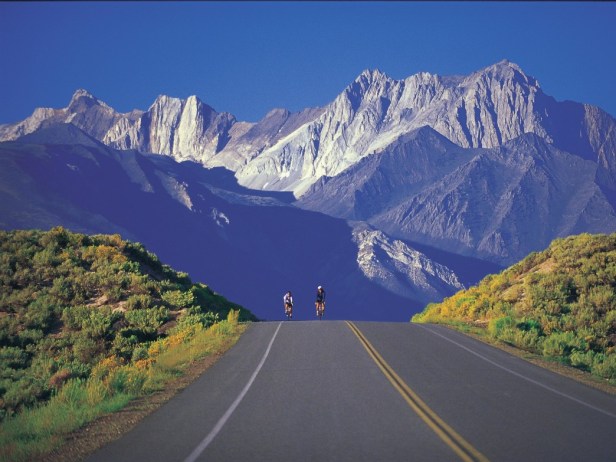 bike mammoth specialized s-works race road