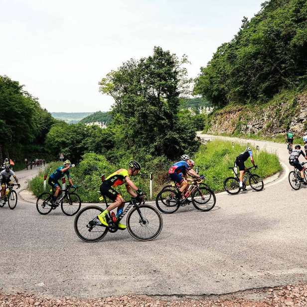 gran fondo ale merckx